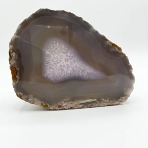 whatsapp image 2026 07 24 at 18.45.38 (1)